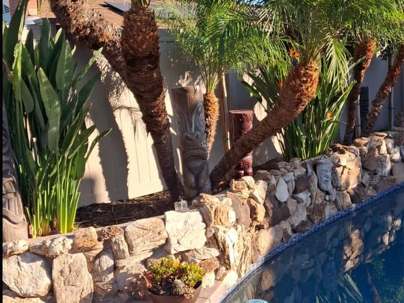 Palms and agave kept trimmed over a rock wall at the edge of a pool in the Anaheim area