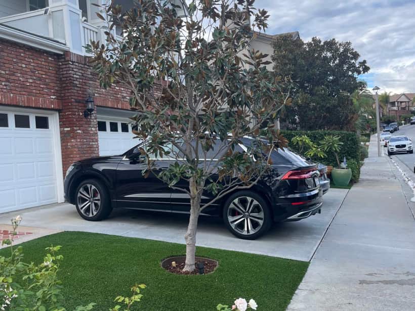 Front yard in artificial turf cut clean around a tree next to the driveway, in the Anaheim area