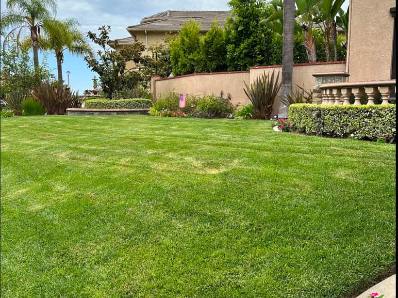 Front lawn mowed and edged in front of a house in Anaheim